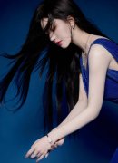 钟自的规律、组织规律、清廉规律和糊口